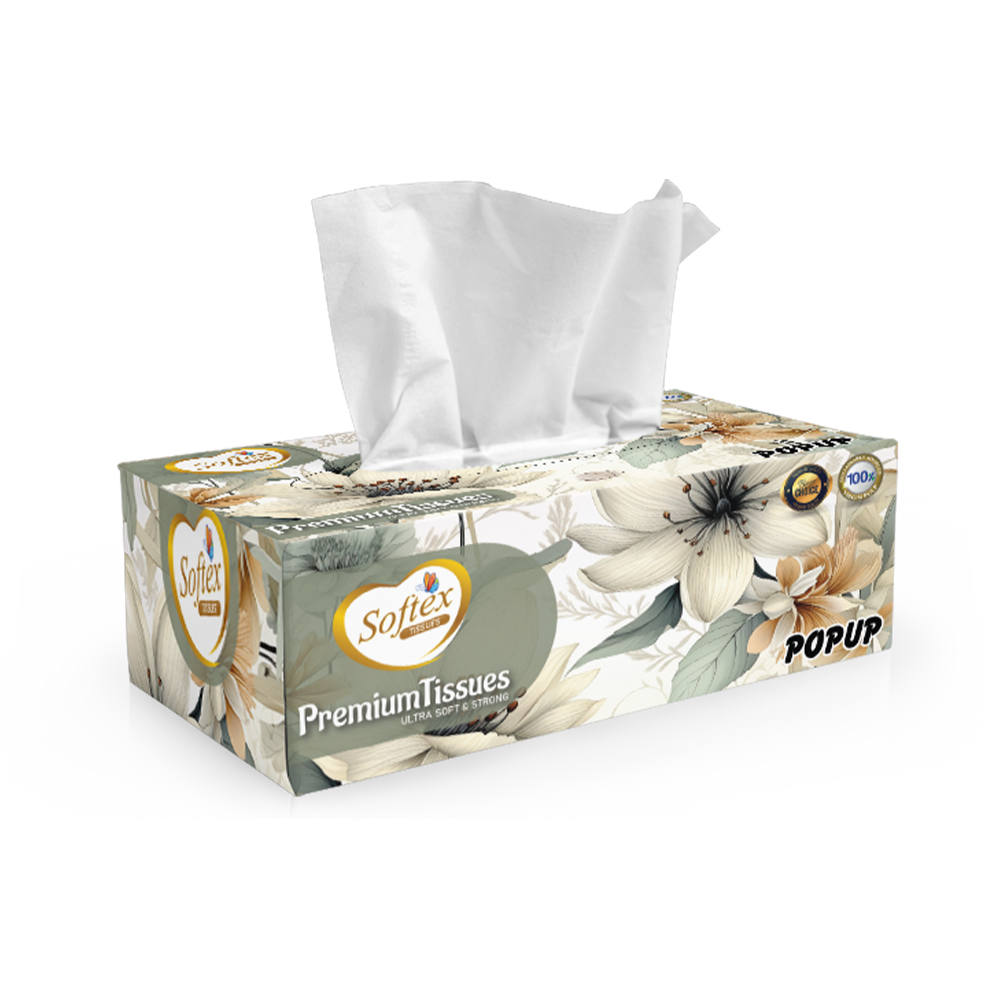 Softex Tissue Box Supreme (200 Tissues, Recycled)